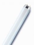 Лампа люминесцентная L 18W/865 LUMILUX 18Вт T8 6500К G13 смол. OSRAM 4058075693098 Лампа люминесцентная L 18W/865 LUMILUX 18Вт T8 6500К G13 смол. OSRAM 4058075693098