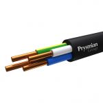 Кабель ВВГнг(А)-LS 4х2.5 ОК (N) 0.66кВ (бухта) (м) РЭК-PRYSMIAN 1504050101 Кабель ВВГнг(А)-LS 4х2.5 ОК (N) 0.66кВ (бухта) (м) РЭК-PRYSMIAN 1504050101