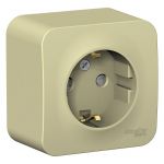Розетка 1-м ОП Blanca 16А IP20 250В с заземл. защ. шторки с изолир. пластиной беж. SE BLNRA011117 Розетка 1-м ОП Blanca 16А IP20 250В с заземл. защ. шторки с изолир. пластиной беж. SE BLNRA011117